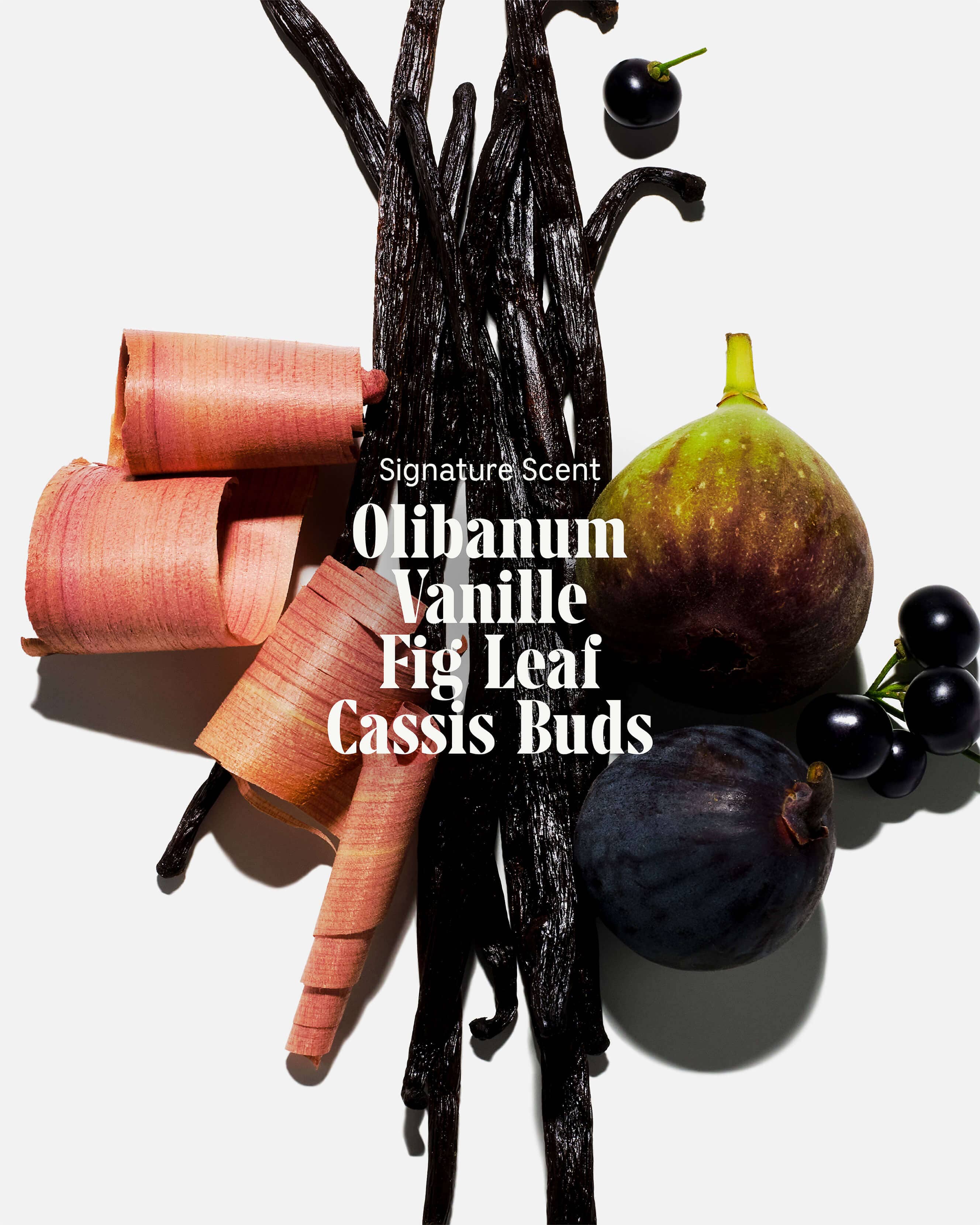 The Body Wash Olibanum - Image 4