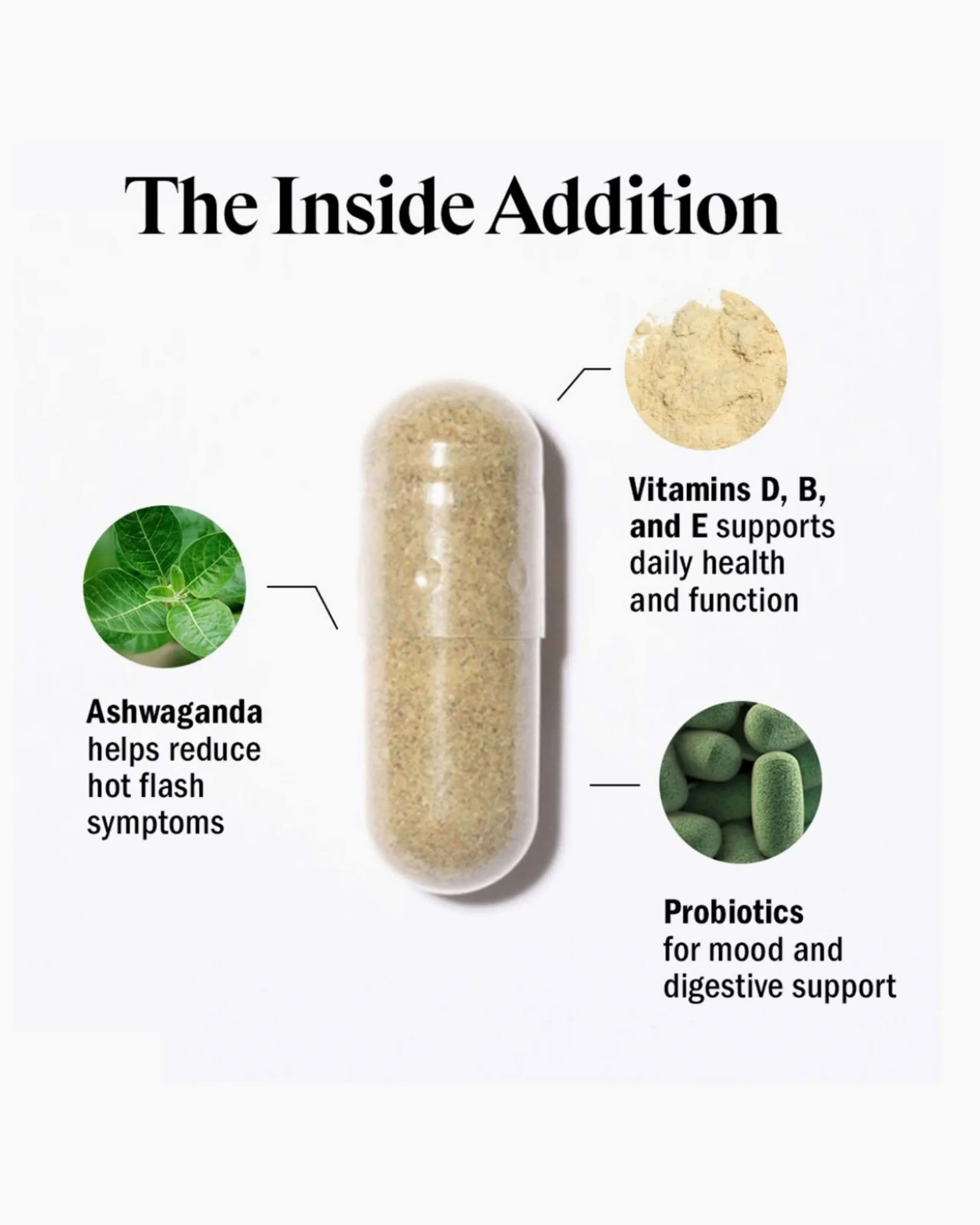 The Inside Addition: Daily Menopause Probiotic Supplement + Vitamin Blend - Image 4