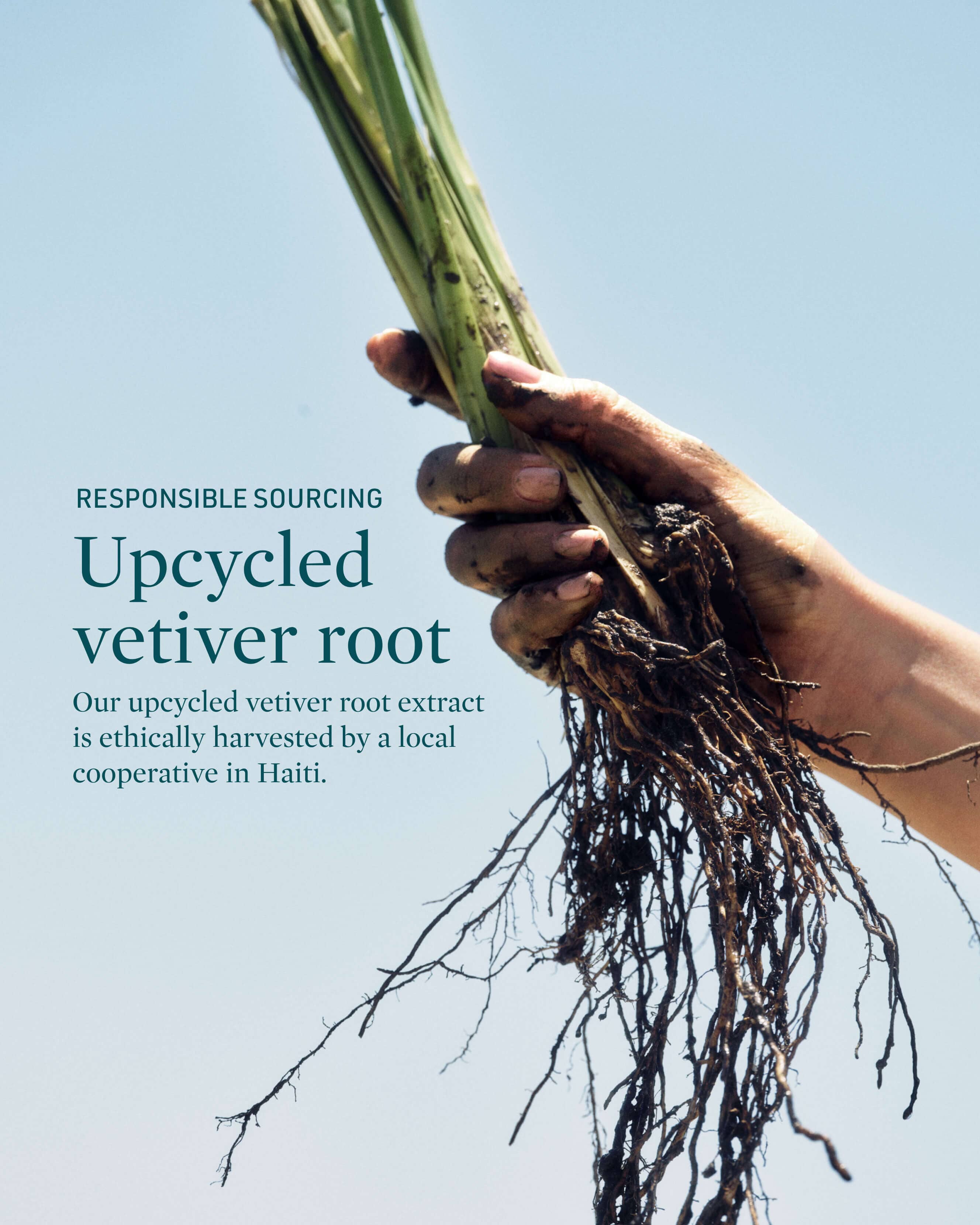 True Timeout Vetiver Root + Calming Botanicals Moisturizer for Sensitive Skin - Image 6