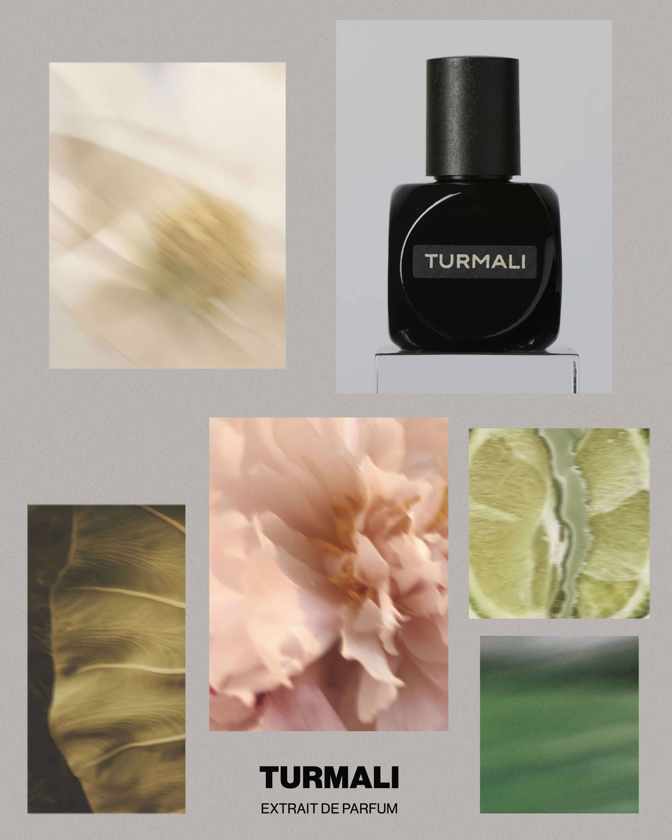 Turmali Extrait de Parfum - Image 5
