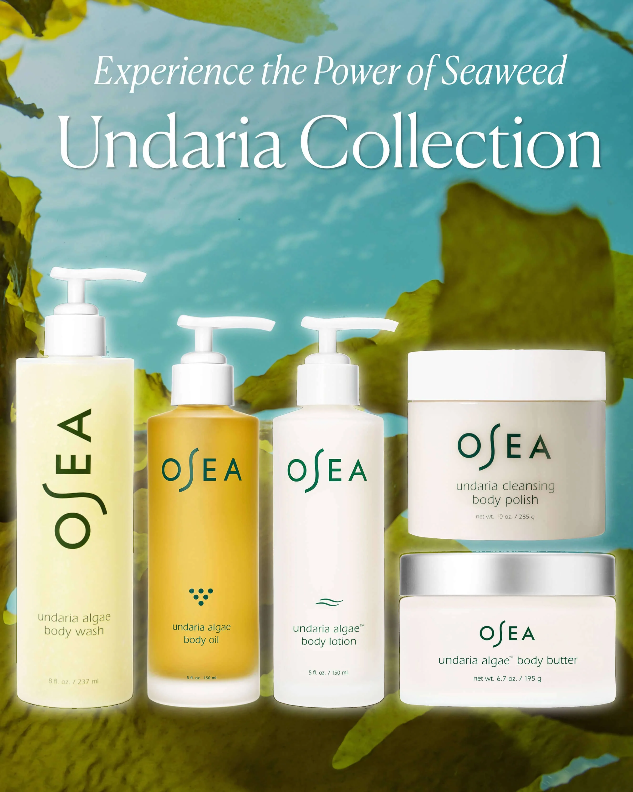 Undaria Algae Body Butter - Image 9