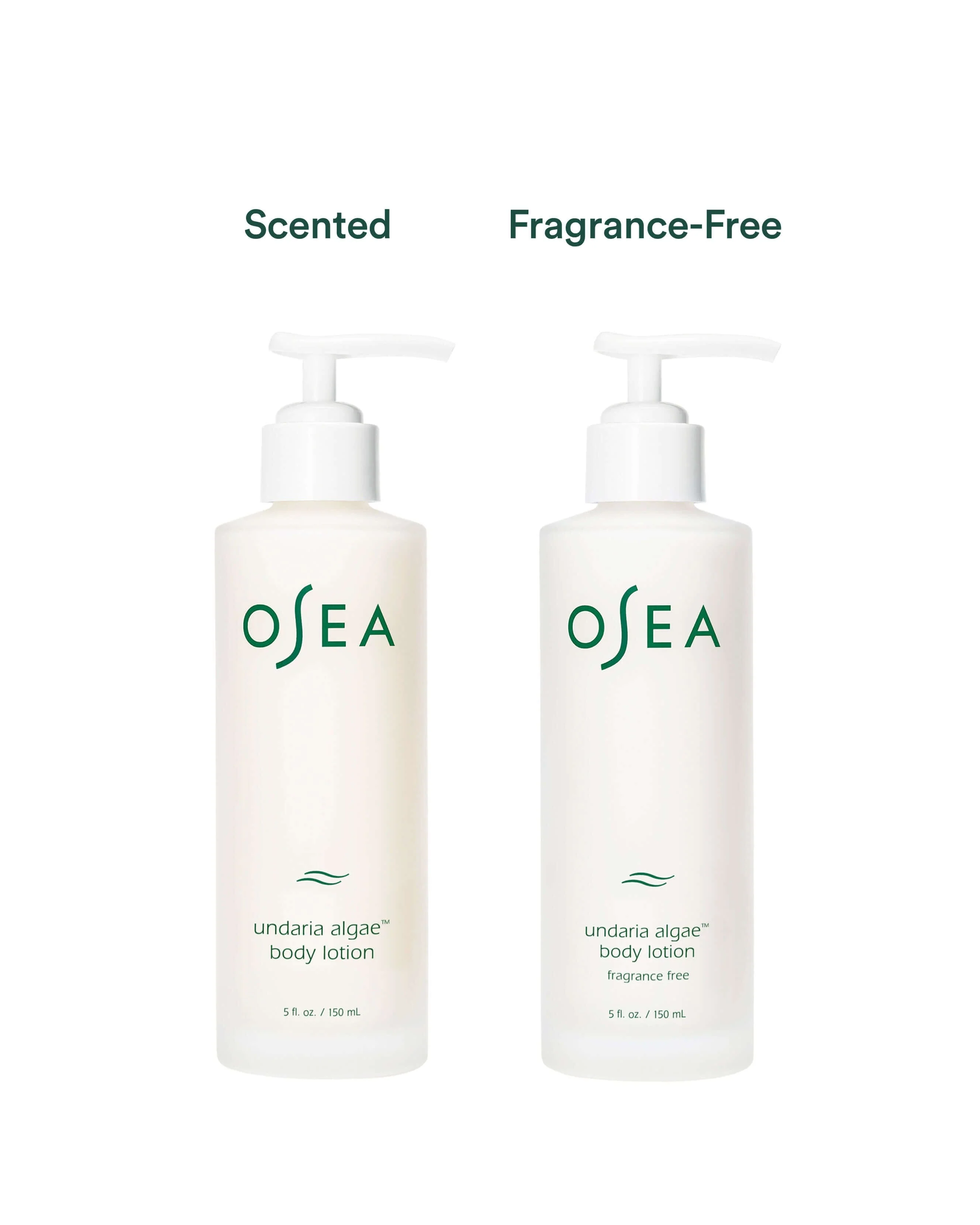 Undaria Algae Body Lotion Fragrance Free - Image 6