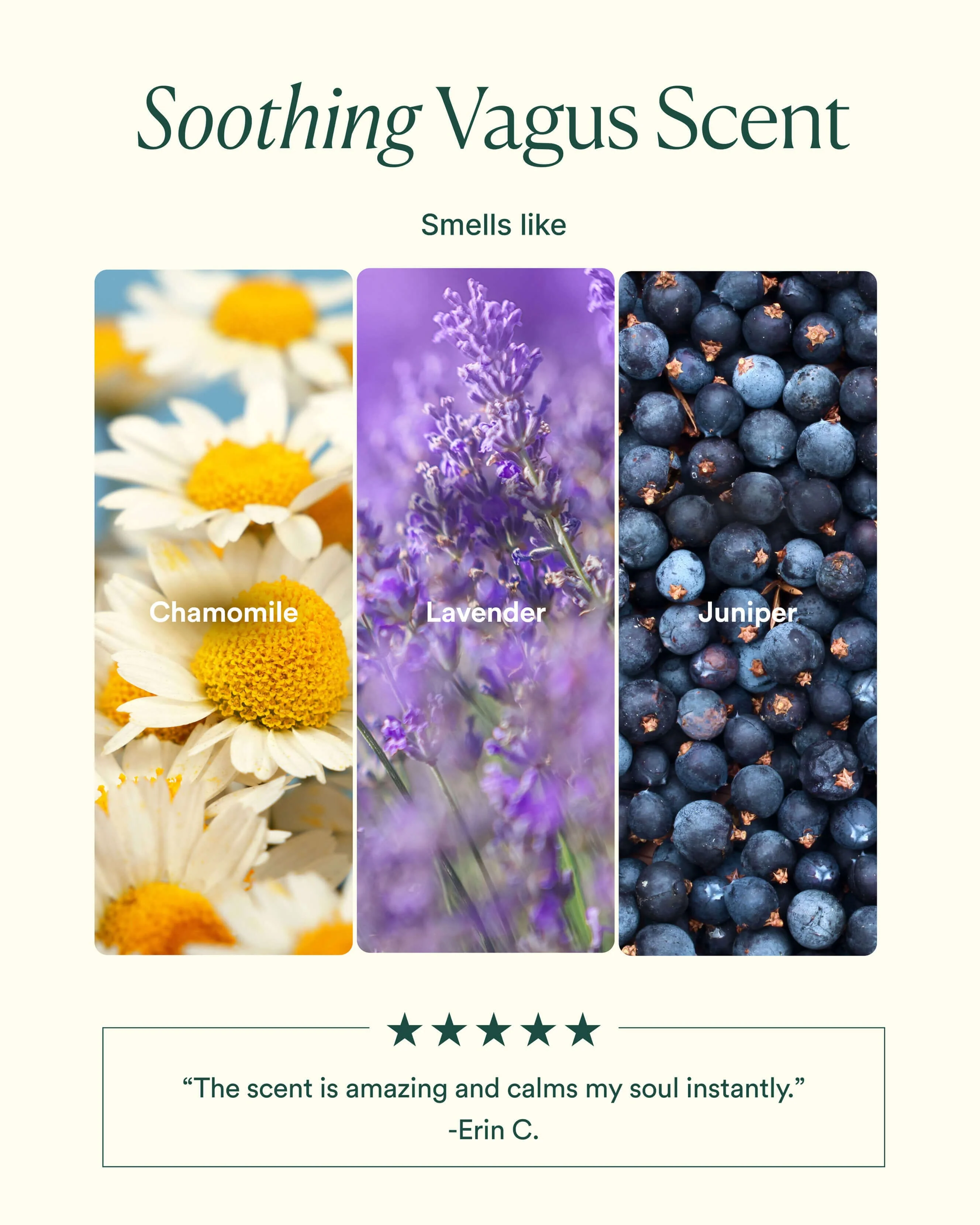 Vagus Nerve Bath Oil - Image 5
