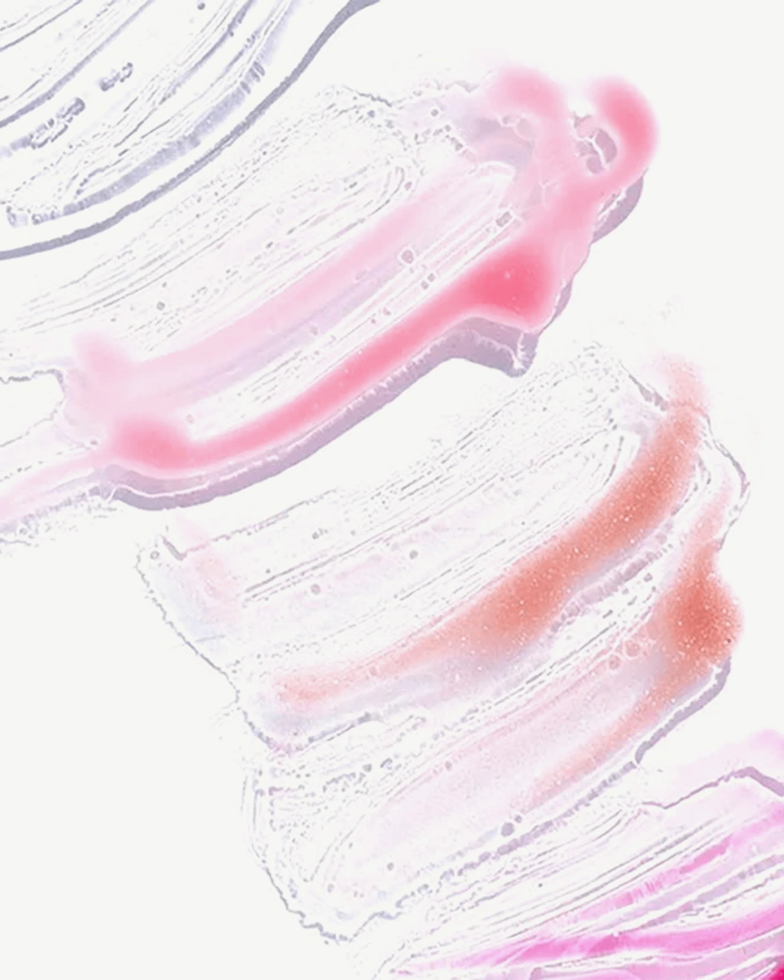 Vegan Mango Lip Honey - Image 26