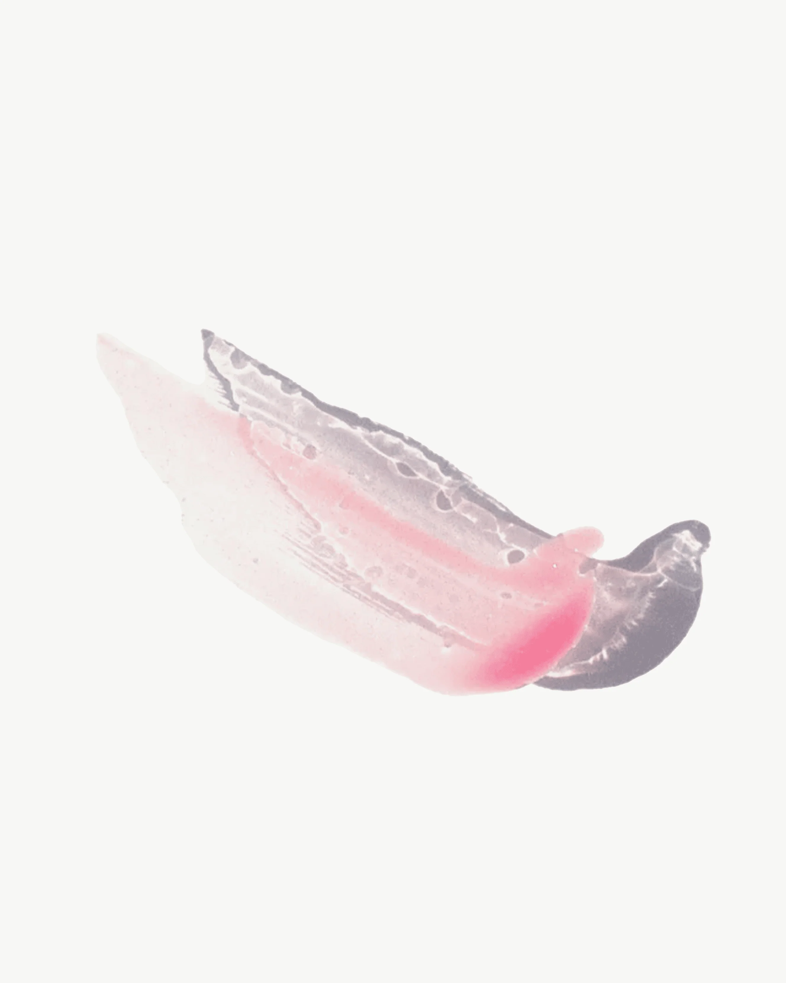 Vegan Mango Lip Honey - Image 7