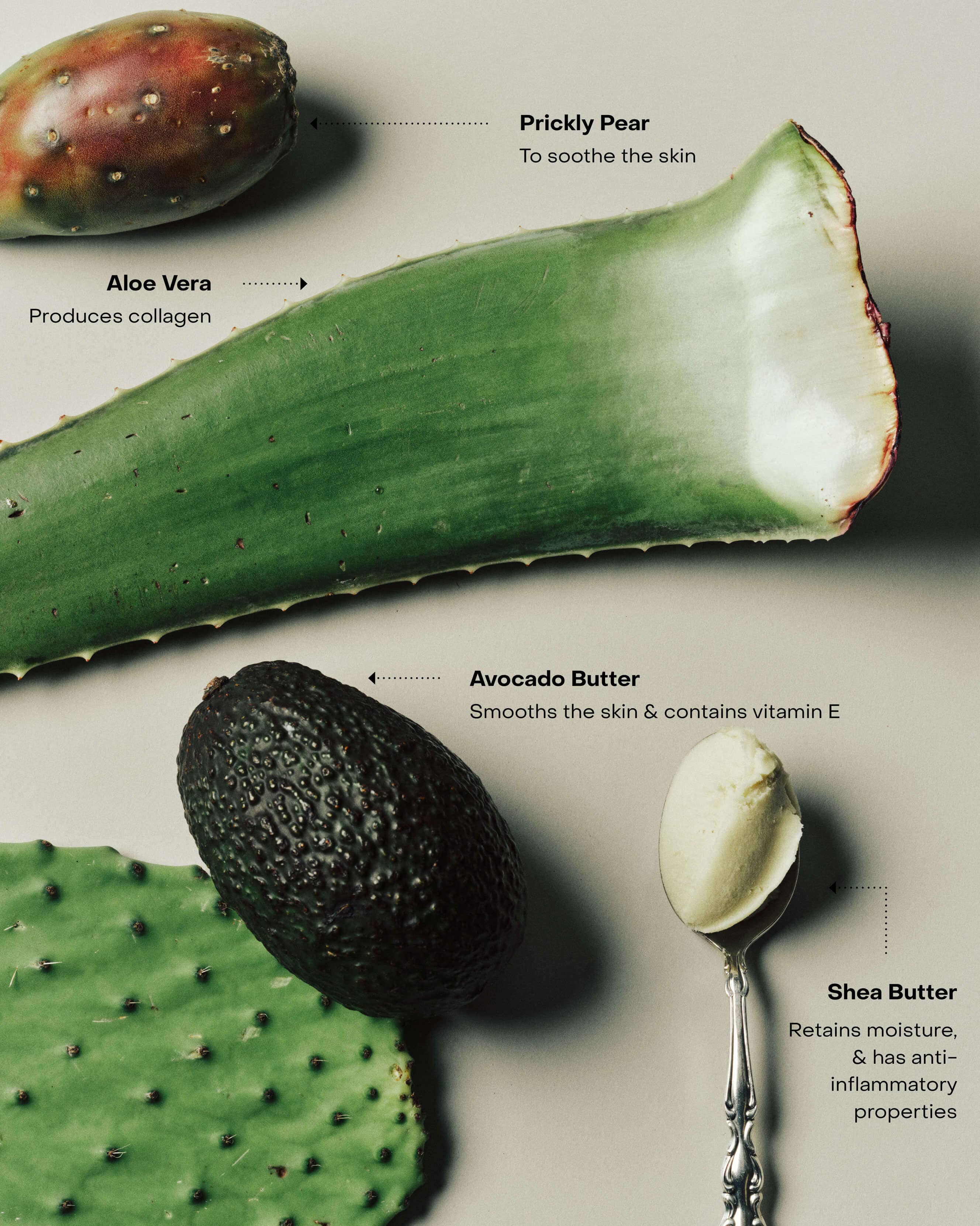 WIRED: The Body Serum - Image 6